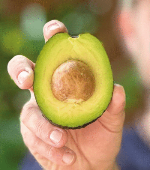 AVOCADO BIOLOGICO SICILIANO